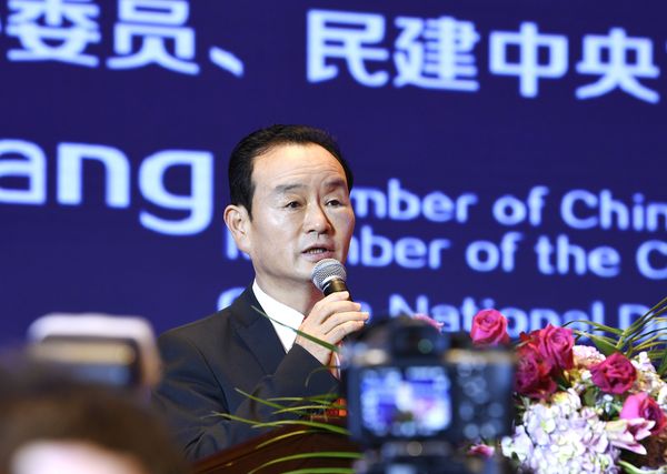 全國(guó)政協(xié)委員,、民建中央常委馬國(guó)湘發(fā)言