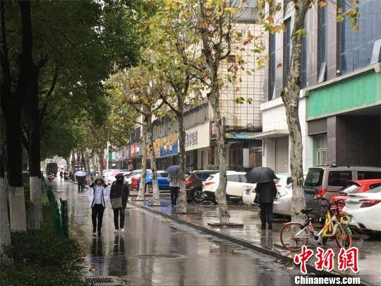 武漢進(jìn)入陰雨模式,，氣溫偏低 馬芙蓉 攝