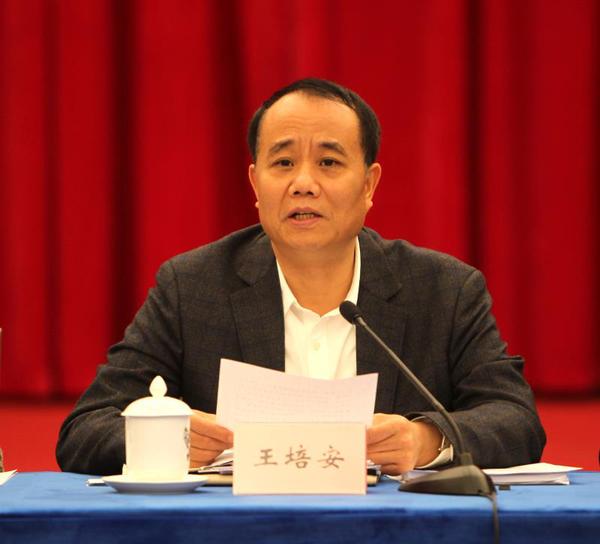 全國政協(xié)委員,、中國計生協(xié)黨組書記,、常務(wù)副會長王培安在會上發(fā)言