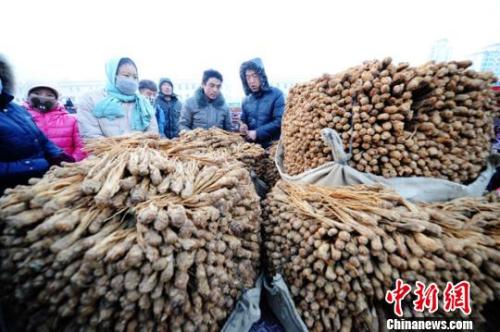 甘肅岷縣中國當(dāng)歸城內(nèi)中藥材交易場景,。楊艷敏 攝