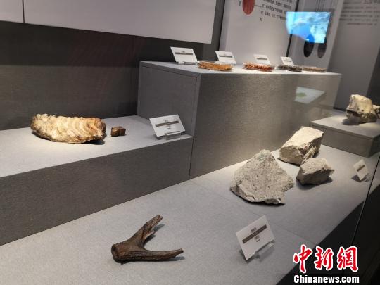 陳列的展品?！⊥τ?攝