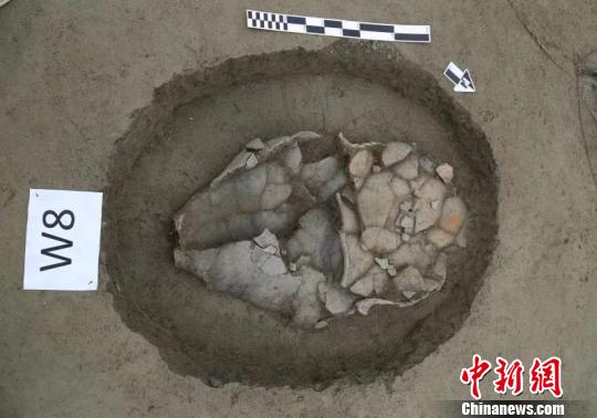 圖為甕棺葬,。　鐘欣 攝