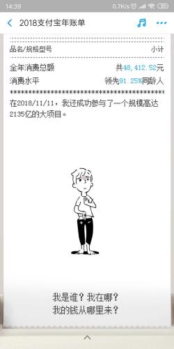 年度賬單截圖,。