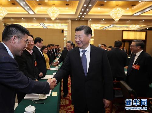 （兩會）習(xí)近平看望參加政協(xié)會議的民進(jìn)農(nóng)工黨九三學(xué)社委員