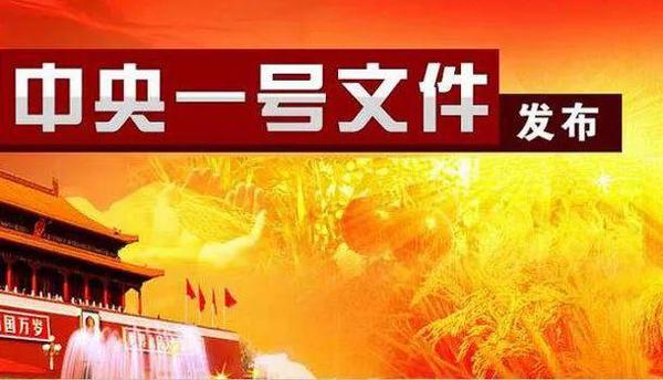 2019年中央一號(hào)文件發(fā)布,！這些內(nèi)容與你息息相關(guān)