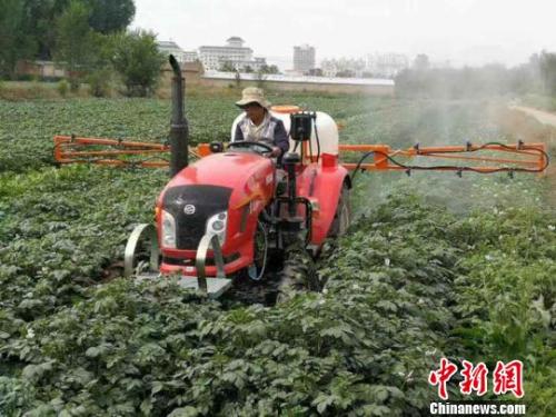 資料圖：農(nóng)民給馬鈴薯噴灑追肥,。陳得軍 攝