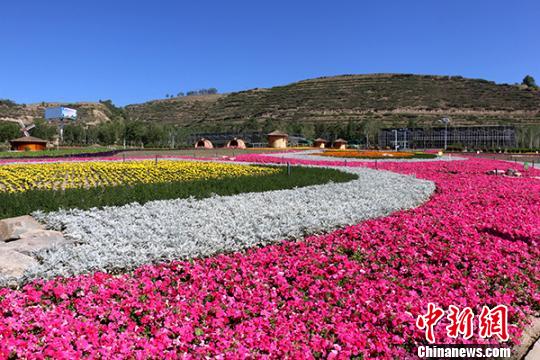 圖為西寧市大通縣花海,。(資料圖) 鐘欣 攝
