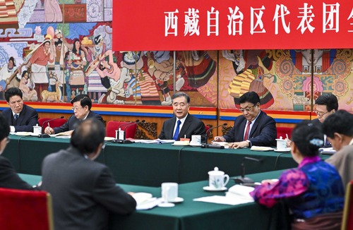3月10日，中共中央政治局常委、全國(guó)政協(xié)主席汪洋參加十三屆全國(guó)人大二次會(huì)議西藏代表團(tuán)的審議,。新華社記者 李學(xué)仁 攝