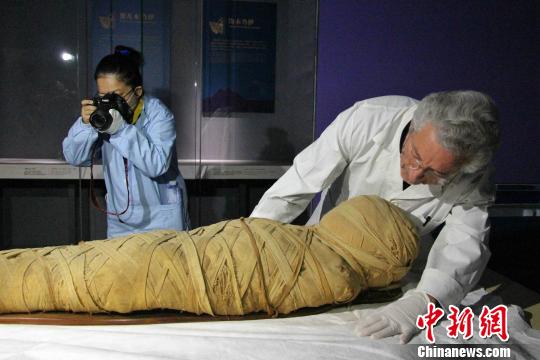 圖為“不朽之旅——古埃及人的生命觀”特展開箱布展現(xiàn)場，專家正在對文物進行點交,?！≮w曉 攝