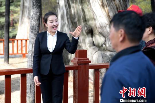 惠瓊在黃帝陵景區(qū)講解?！√镞M(jìn) 攝