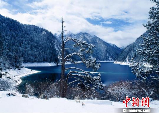 圖為冬天的九寨溝,。四川省文化和旅游廳供圖