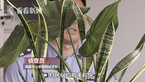 村支書變黑老大橫行鄉(xiāng)里 涉案金額達1.5億元