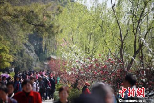4月1日,，大批游客在江蘇揚州瘦西湖踏青游玩,，親近自然?！∶系慢?攝