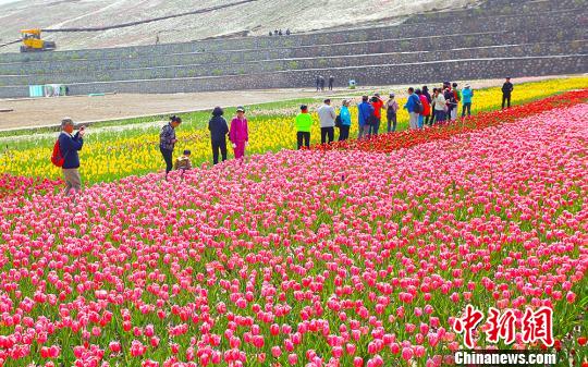 “短途周邊游”受追捧內(nèi)地民眾樂(lè)享“慢生活”
