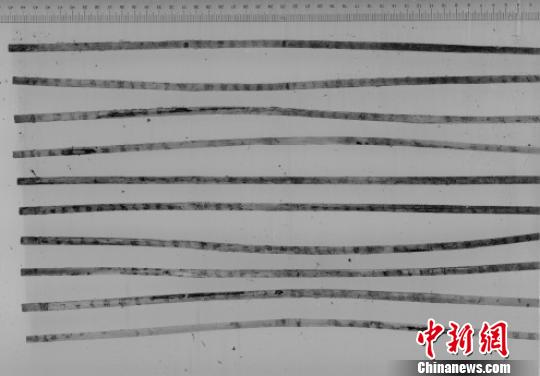 荊州龍會(huì)河北岸墓地M324出土戰(zhàn)國(guó)楚簡(jiǎn)紅外掃描照片,。荊州博物館供圖