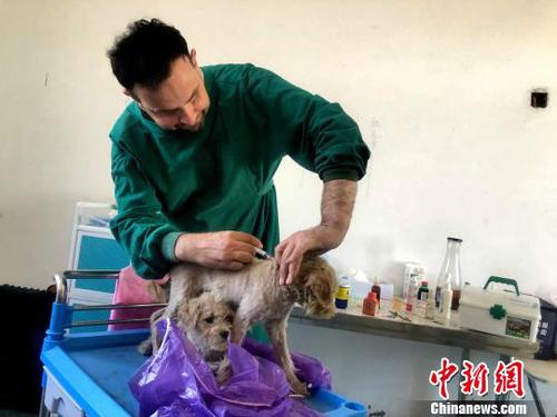 圖為詹姆斯為小狗接種疫苗?！∠默?攝