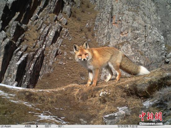點(diǎn)擊進(jìn)入下一頁