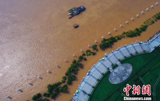6月11日,，航拍贛江南昌段水位暴漲，沿江景觀樹受淹在渾濁的江水之中,?！⒄祭?攝