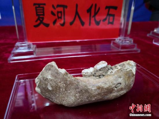點(diǎn)擊進(jìn)入下一頁