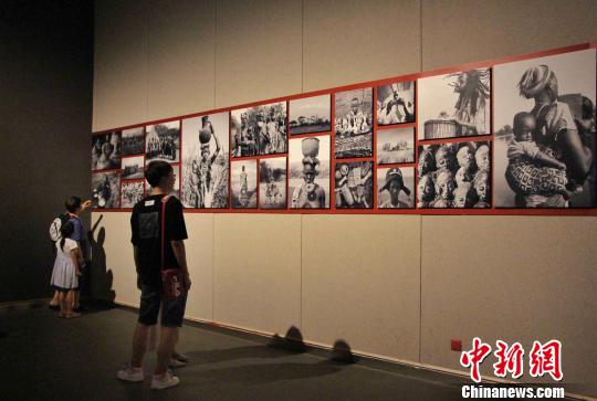 140件非洲雕刻藝術(shù)作品當(dāng)天在山東美術(shù)館亮相,?！≮w曉 攝