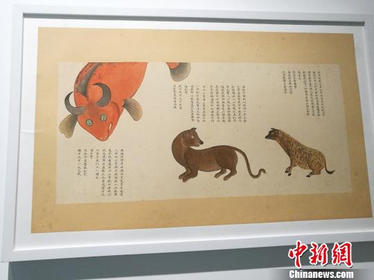 “故宮里的海洋世界--《海錯圖》多媒體綜合展”，11日下午在深圳海上世界藝術(shù)文化中心開幕,?！∴嵭〖t 攝