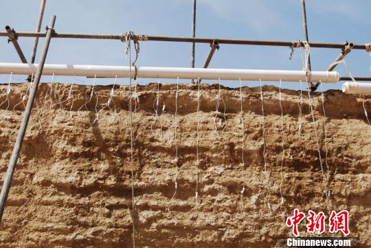 圖為嘉峪關長城布滿針管,，“輸液”掛吊瓶,。實施該保護方法是對土質較為疏松墻體采用輸液形式，注入防風化材料,，提高滲透深度,，提升墻體密實度。(資料圖) 鐘欣 攝