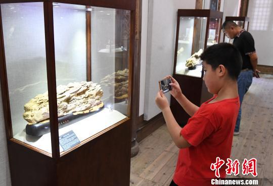“青藍(lán)門徑·福建青年藝術(shù)家雕刻作品展”正在福州福建省海峽民間藝術(shù)館展出,?！∮浾邉⒖筛?攝