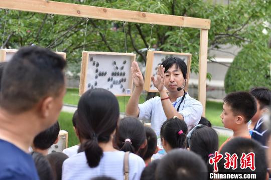 千余種昆蟲(chóng)亮相第二屆昆蟲(chóng)藝術(shù)科普展