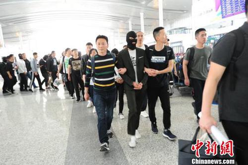 警方跨省押回嫌疑人,。　嘉興公安供圖