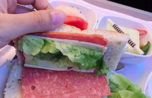 飛機(jī)餐縮水為安全,？網(wǎng)友：就差壓縮餅干配涼白開了