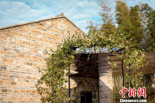中國(guó)建筑師王彥,，將夏木塘村內(nèi)一座90年歷史的舊宅改建為咖啡廳，取名“夏蟲(chóng)咖啡”,。主辦方供資料圖