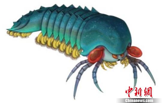 古生物學(xué)家發(fā)現(xiàn)目前已知最古老螯肢類(lèi)節(jié)肢動(dòng)物