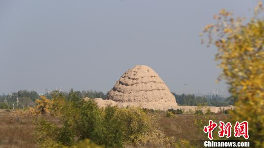 西夏陵遺址?！∮诰?攝