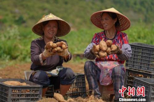 點(diǎn)擊進(jìn)入下一頁(yè)
