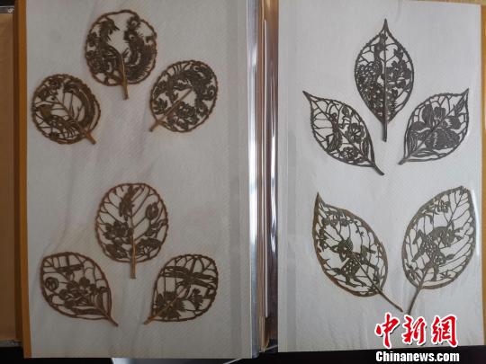 圖為,，都婉莉創(chuàng)作的小型葉雕作品?！O宏瑗 攝