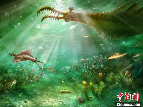 圖為澄江生物群生態(tài)復(fù)原圖,。中國(guó)科學(xué)院南京地質(zhì)古生物研究所供圖