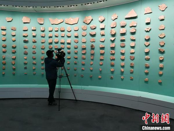 圖為澄江化石地自然博物館的化石墻,?！『h(yuǎn)航 攝