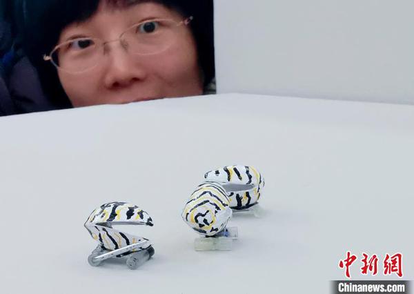 意大利女藝術(shù)家維奧莉特,？梅拉德的作品 杜洋 攝