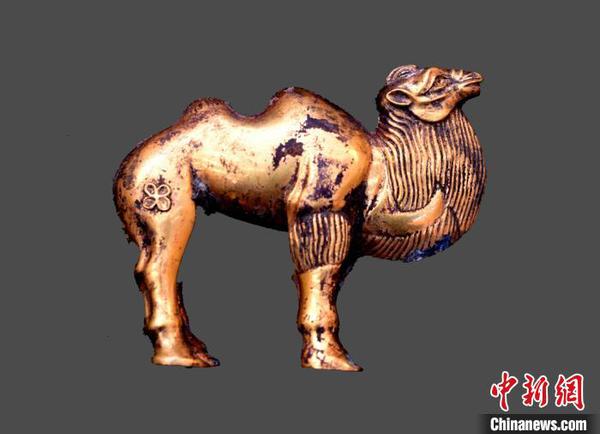 圖為出土的金駱駝,。秦始皇帝陵博物院供圖