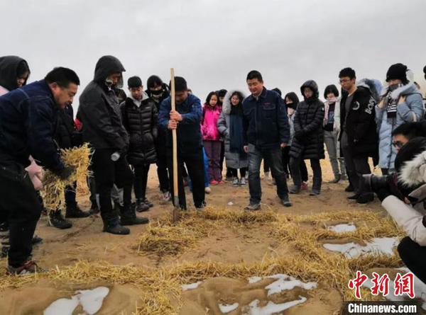 圖為深圳師生體驗莫高窟治沙工程，親手種下了一方草方格,?！《庞窭?攝