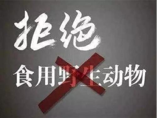 微信圖片_20200323132838