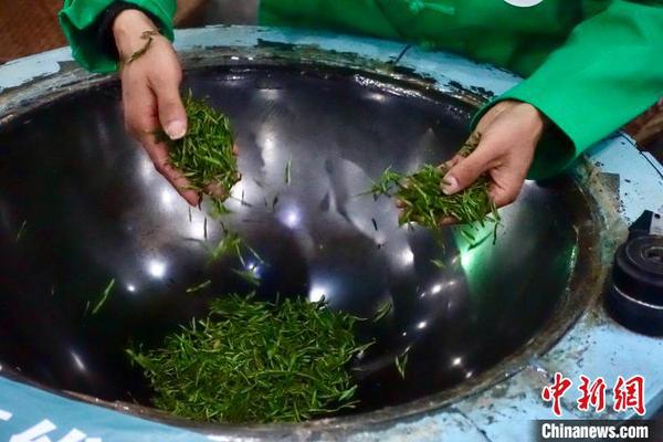 2020年西湖龍井茶炒茶王大賽現(xiàn)場(chǎng),。　錢晨菲 攝