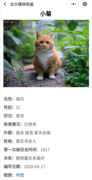 點擊進入下一頁
