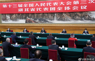 習(xí)近平參加湖北代表團(tuán)審議