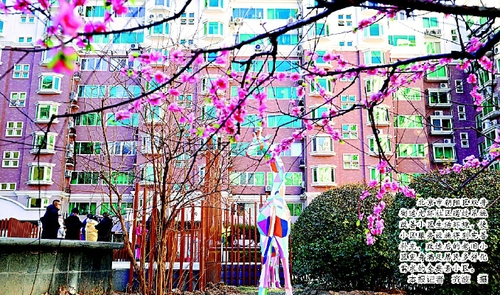 北京市朝陽區(qū)雙井街道光環(huán)社區(qū)通過系統(tǒng)改善小區(qū)生活環(huán)境,，使小區(qū)服務(wù)設(shè)施得到完善補(bǔ)充，改造后的老舊小區(qū)變身滿足居民多樣化需求的全要素小區(qū),。    本報記者  齊波  攝