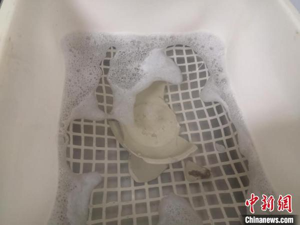 正在使用超聲波清洗的瓷器,。　童笑雨 攝
