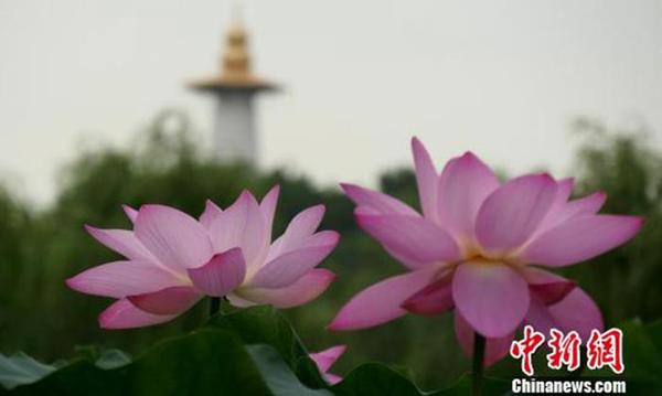 點(diǎn)擊進(jìn)入下一頁(yè)