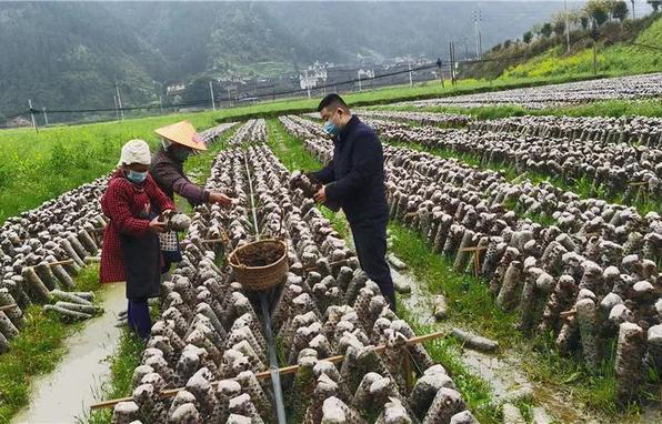 “村看村,，戶看戶,，群眾看黨員，黨員看干部”