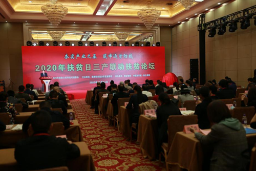 2020年扶貧日“三產(chǎn)聯(lián)動(dòng)扶貧論壇”活動(dòng)現(xiàn)場(chǎng)