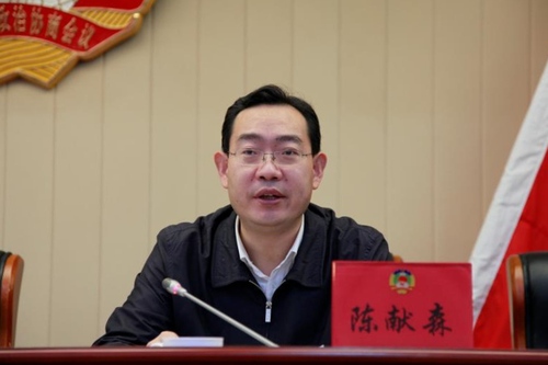 區(qū)委常委,、副區(qū)長陳獻(xiàn)森在會(huì)上講話